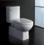 Dionysus - Contemporary One-Piece Toilet