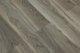 TFSPC206a